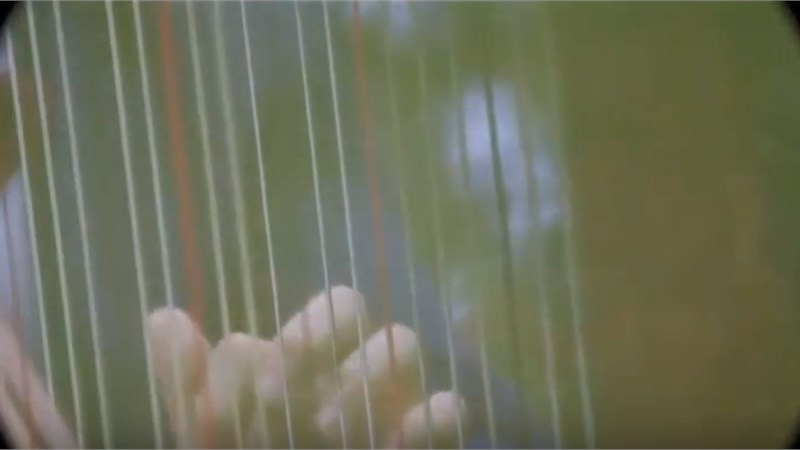 VIDEO 1