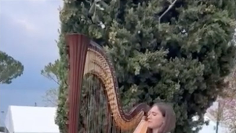 Canone in D - Pachelbel - Harp Demo