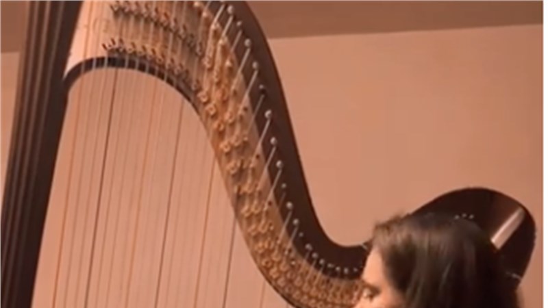 Take five - Harp Demo