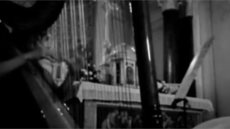 Ave Maria di F. Schubert - Arpa