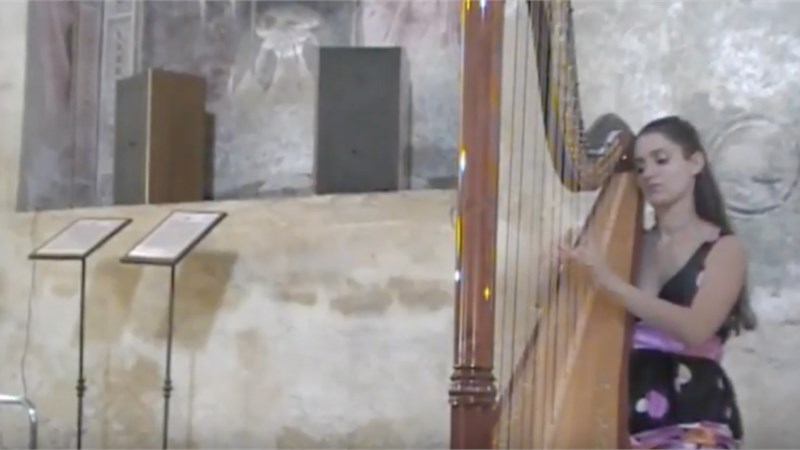 Foggy dew - Trad. irlandese - Arpa