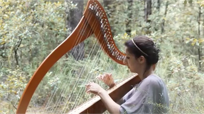 Celtic Harp - Irish Folk Music