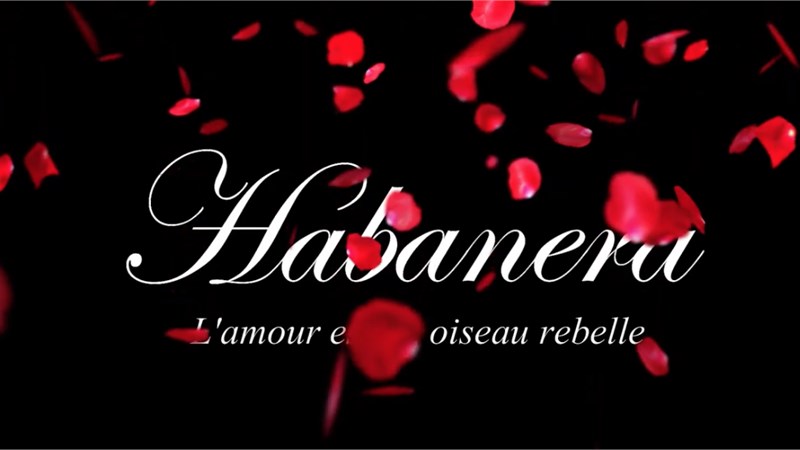 Habanera dalla Carmen di G. Bizet