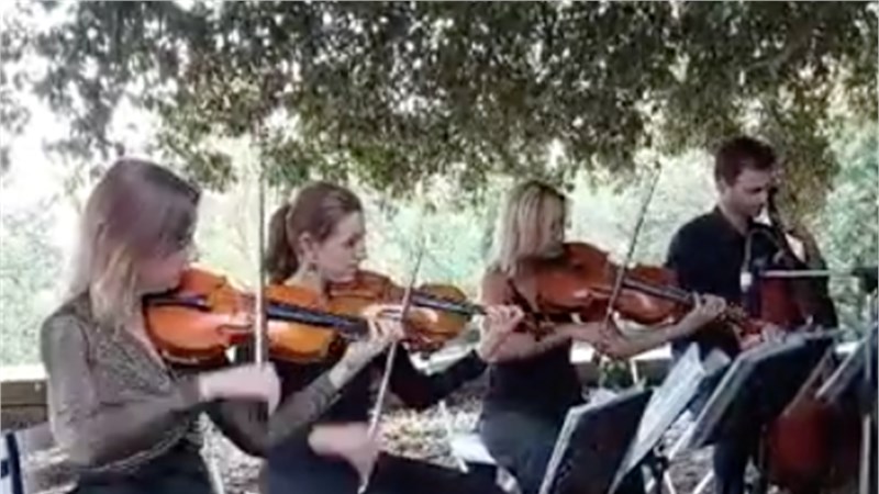 FLORENCE CLASSICAL STRING QUARTET 2