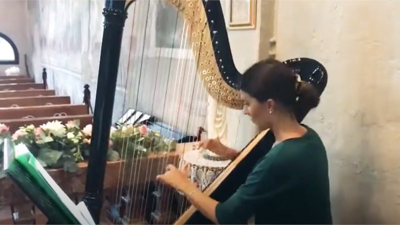Marcia Nuziale di Richard Wagner - Harp